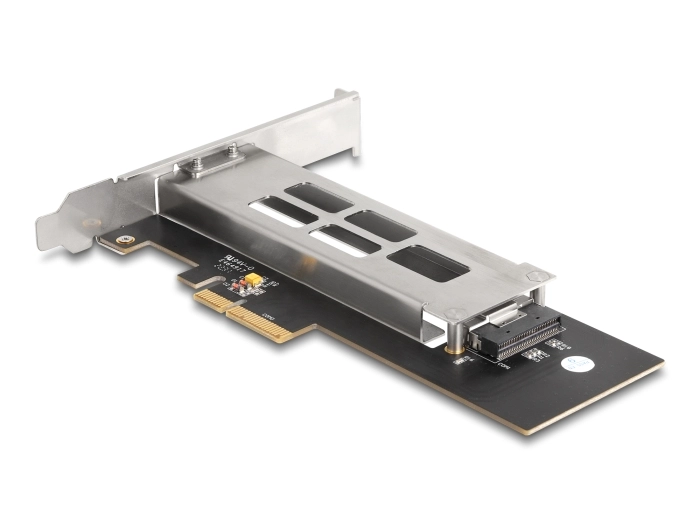 DeLOCK Mobile Rack PCI Express Card