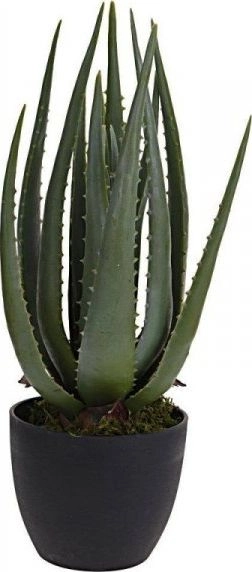 Dekoracja domu Sztuczny Aloes w donicy