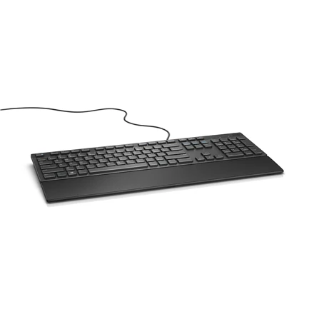 Dell KB216 Multimedia Wired US/LT Black