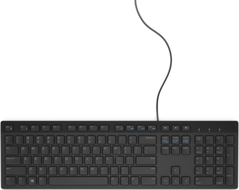 Keyboard Dell KB216 580-ADHY_LT 2000001049457