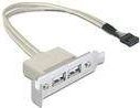 Delock Slot bracket - USB-Kabel -