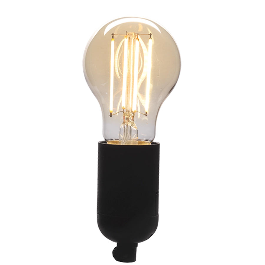 Denver LBF-402 smart lighting Smart bulb