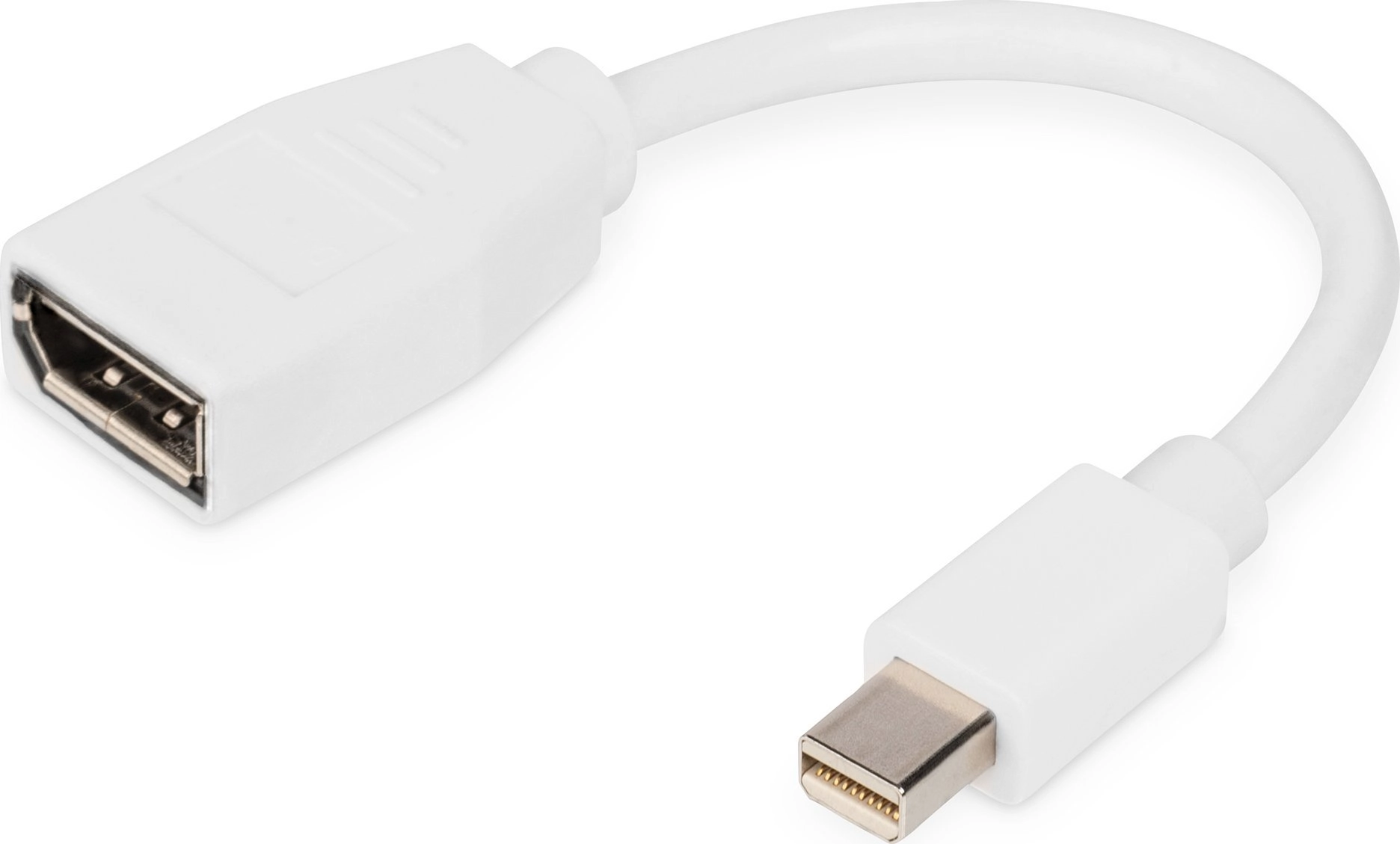DIGITUS DisplayPort cable  mini DP -