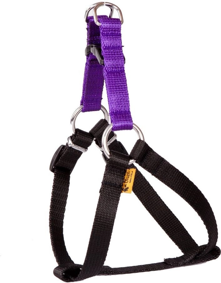 Dingo Fred Energy rozmiar 60 szer