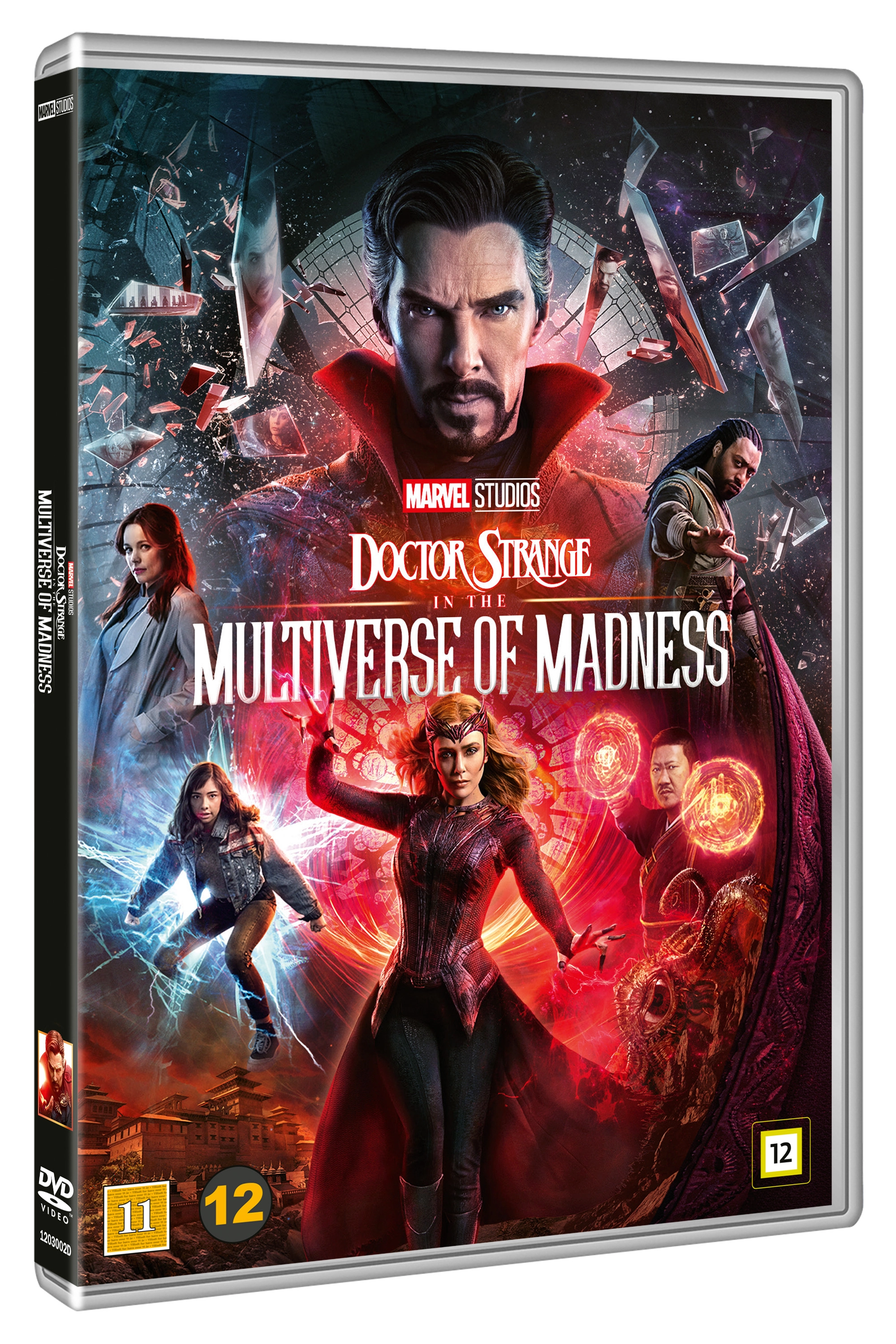 Doctor Strange in the Multiverse of