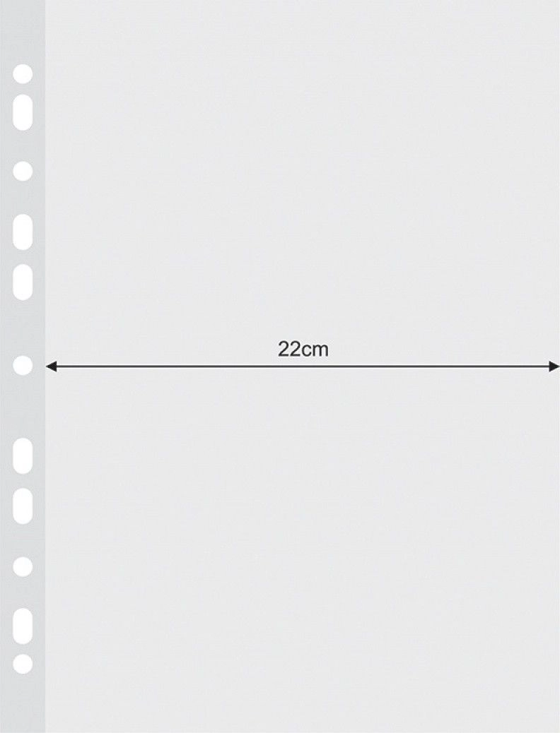Donau DONAU document sleeves  widened  PP