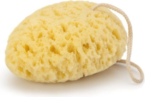 Donegal WASHING SPONGE oval (6009) 276009