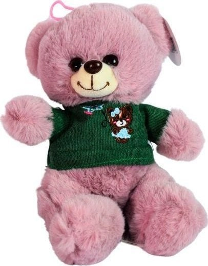 Dromedary BEAR IN A BIG SHIRT