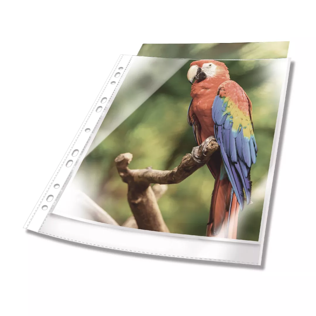 Durable 265502 sheet protector A4 Polypropylene