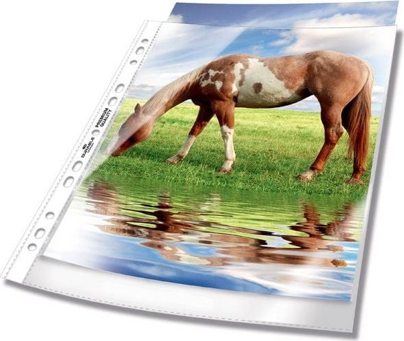 DURABLE brochure sleeves A4 Premium 0