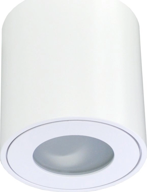 Lampa sufitowa ECOLIGHT2 Eco Light EC79971
