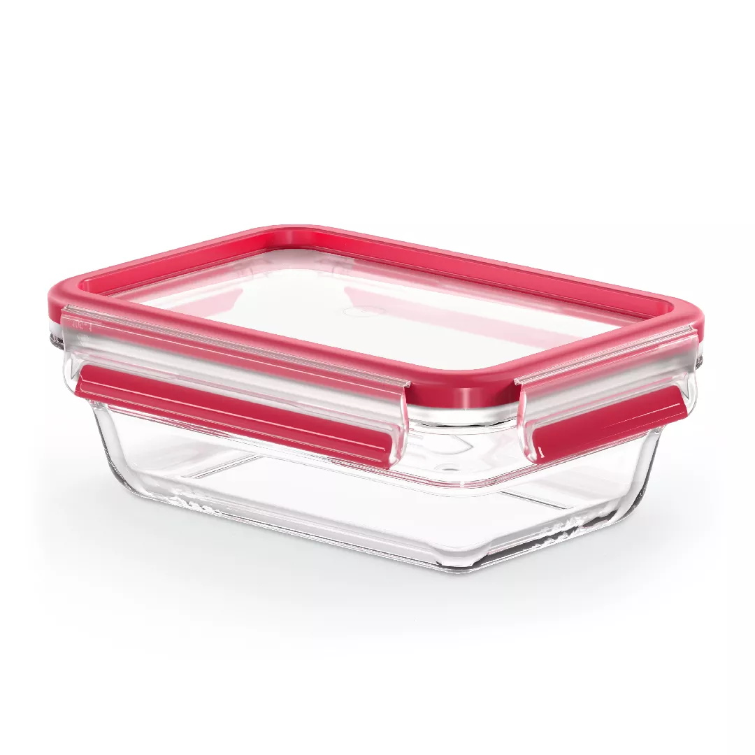 EMSA CLIP  CLOSE N10406 Rectangular Box