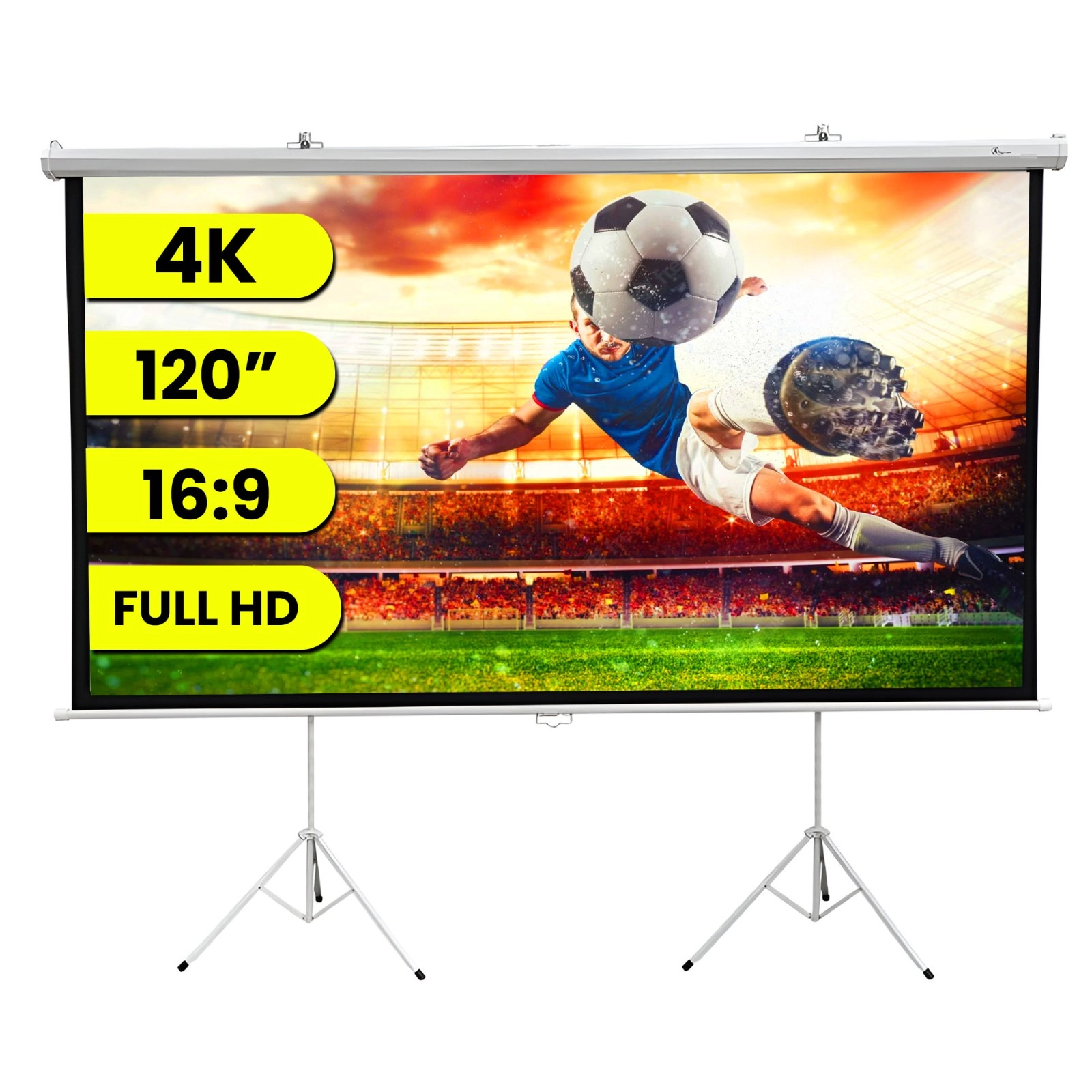 Projector screen ExtraLink EX.30538 EX