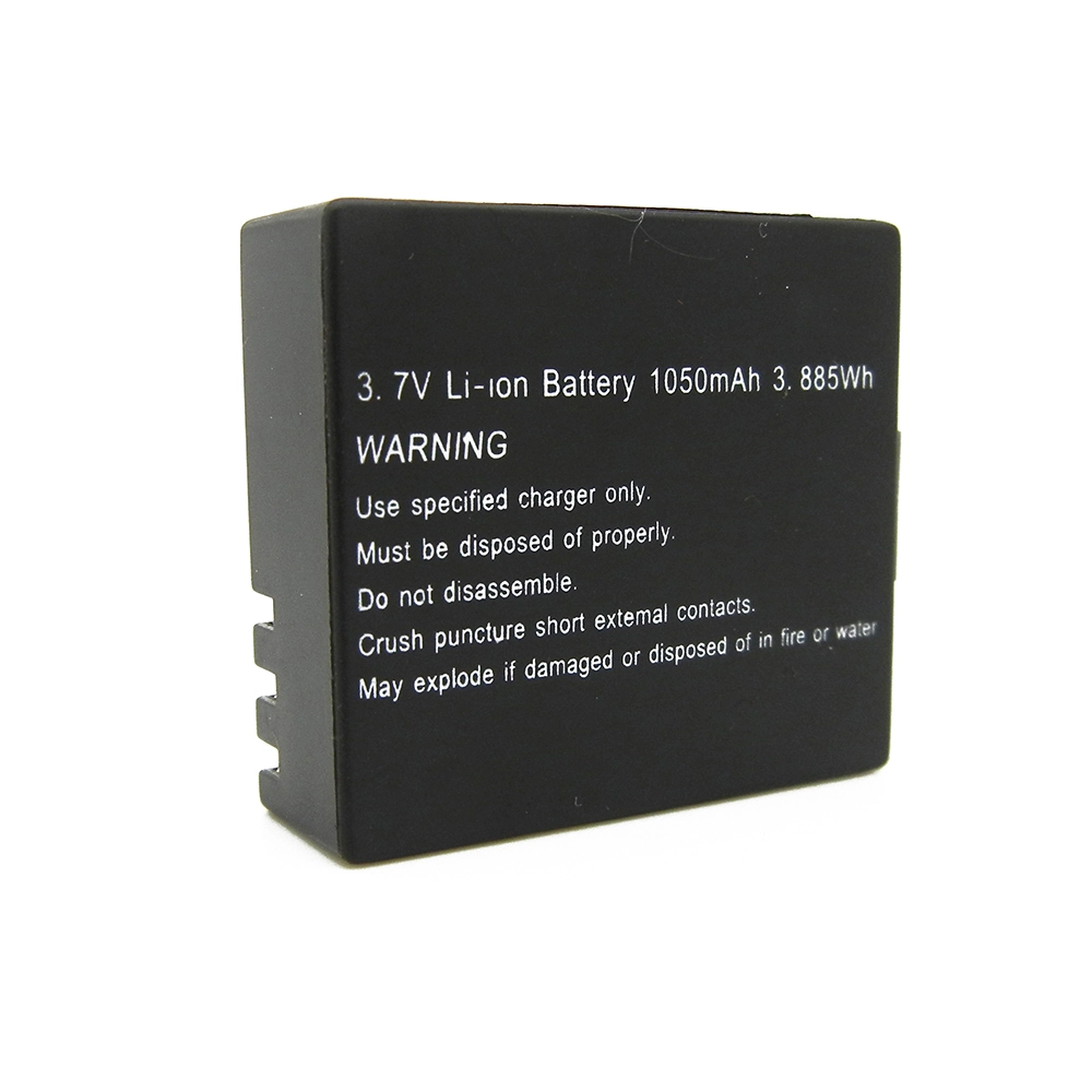 Easypix 01470 camera/camcorder battery Lithium-Ion (Li-Ion)