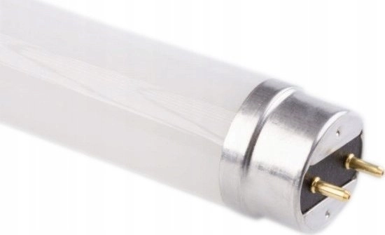 Świetlówka Ecolight Świetlówka LED 18W 120cm