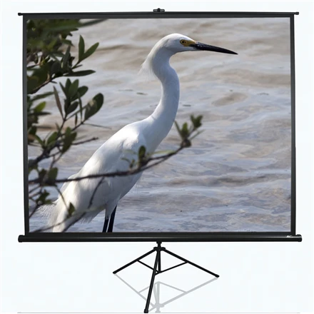 Projector Elite Screens with stand Series