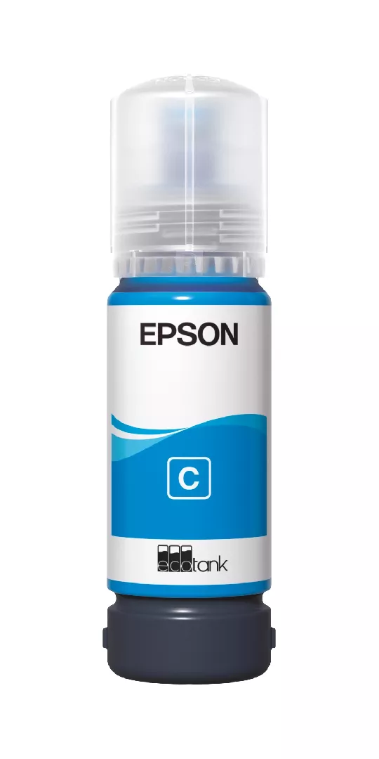 Epson 107 ink cartridge 1 pc(s)