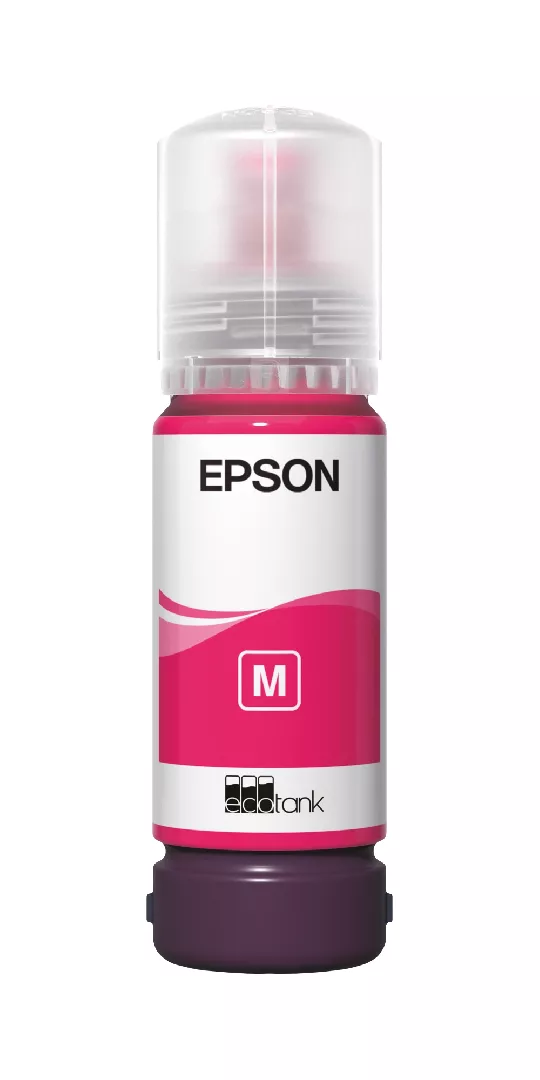 Epson 107 ink cartridge 1 pc(s)