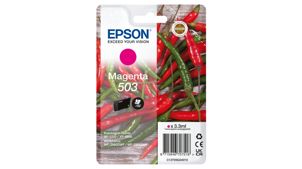 Epson 503 ink cartridge 1 pc(s)