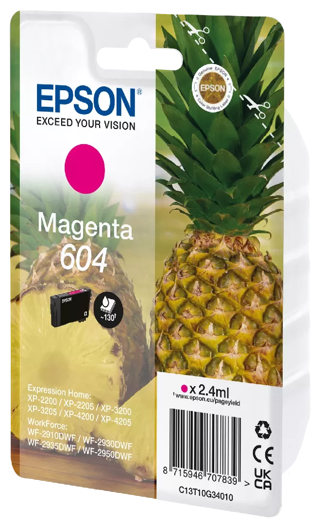Epson 604 ink cartridge 1 pc(s)