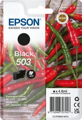 Epson Singlepack Black 503 Ink C13T09Q14020