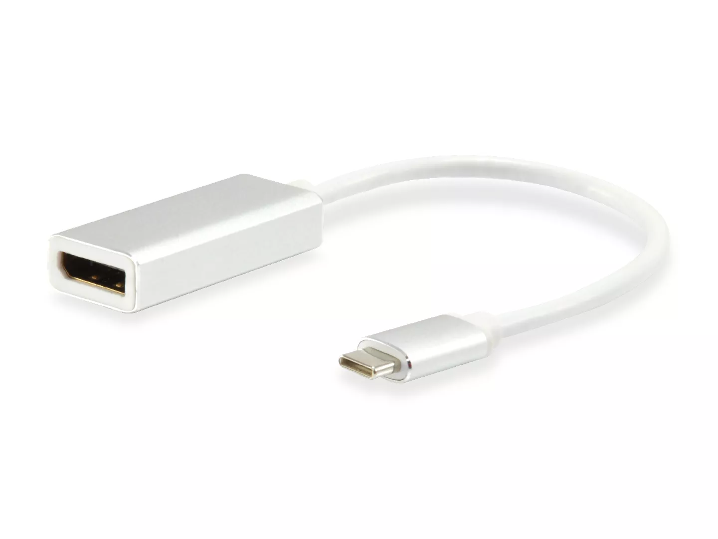 Equip USB Type C to DisplayPort