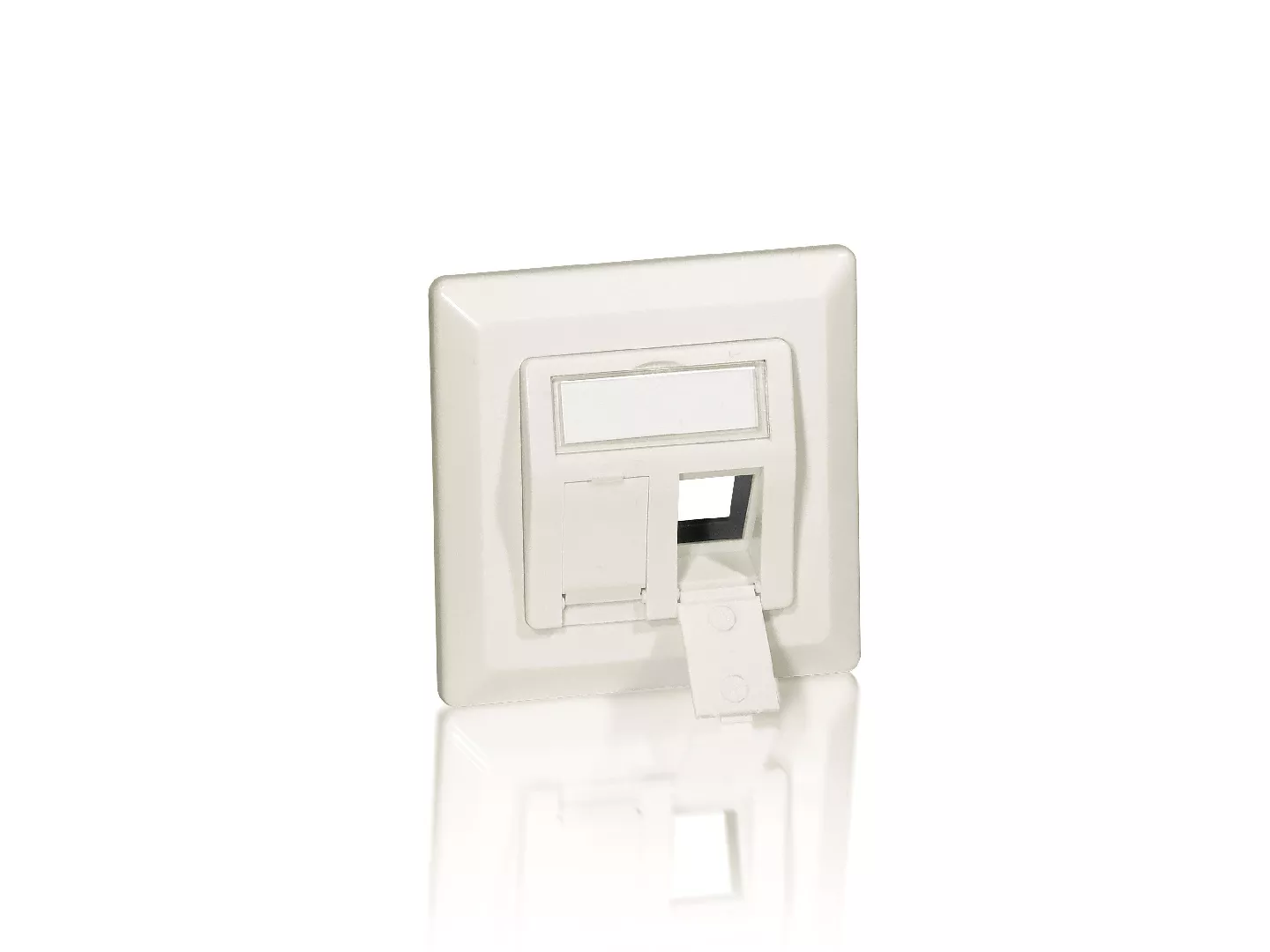 Equip 2-Port German Faceplate 760303 4015867142035