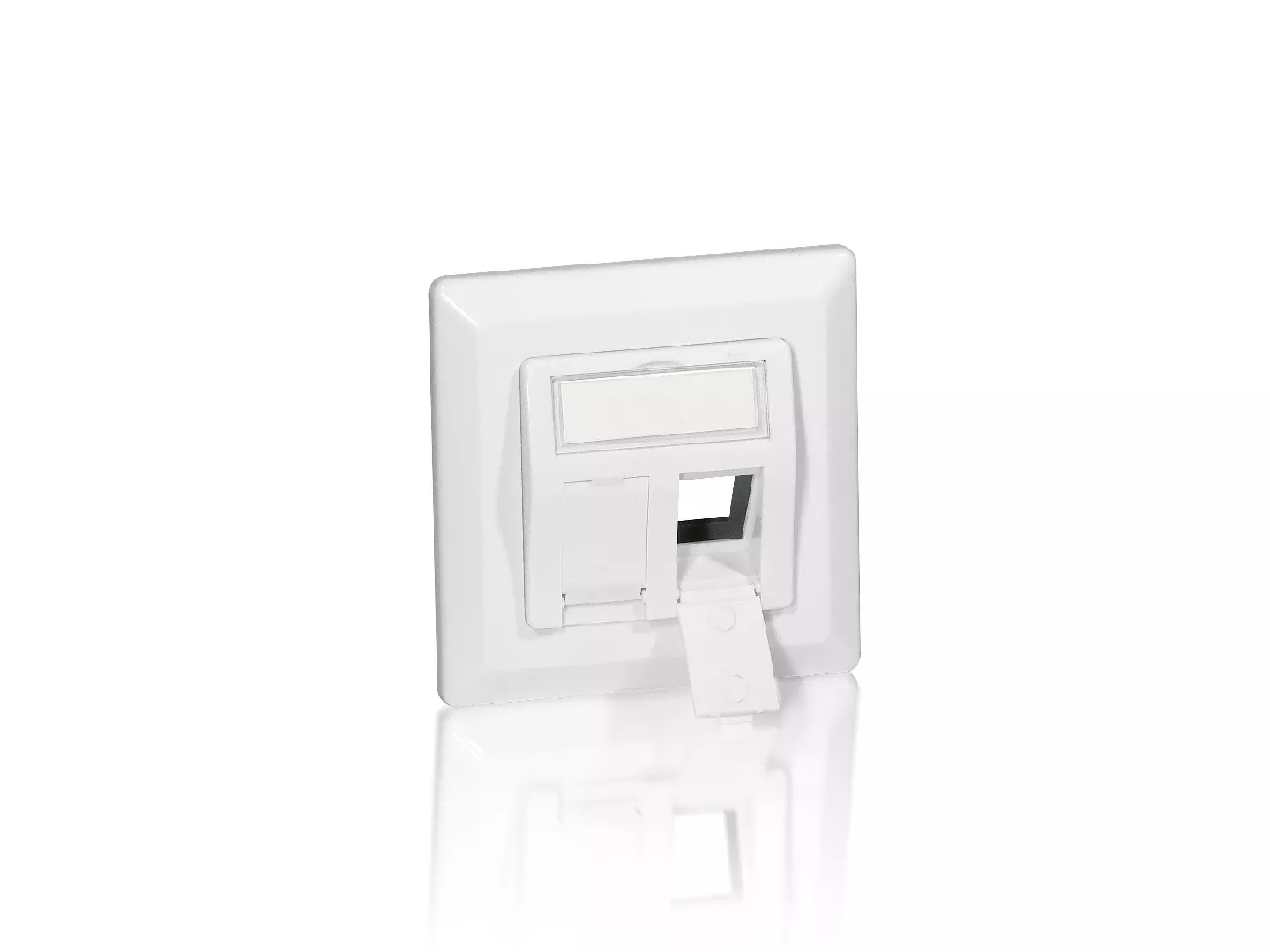 Equip 2-Port German Faceplate 761303