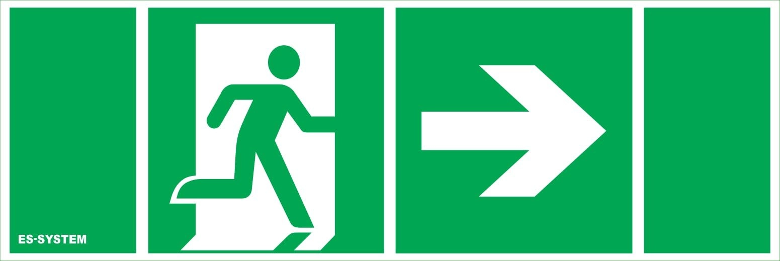 Es-System Pictogram for MONITOR 1 100x300