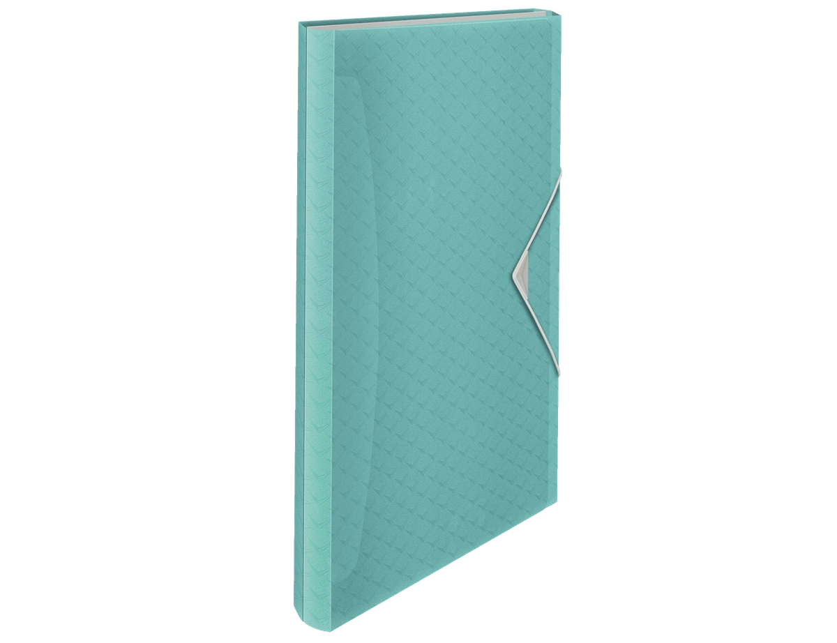 Esselte 626252 folder Polypropylene (PP) Blue