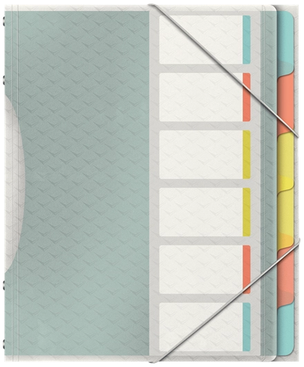 Esselte 626255 tab index Blank tab