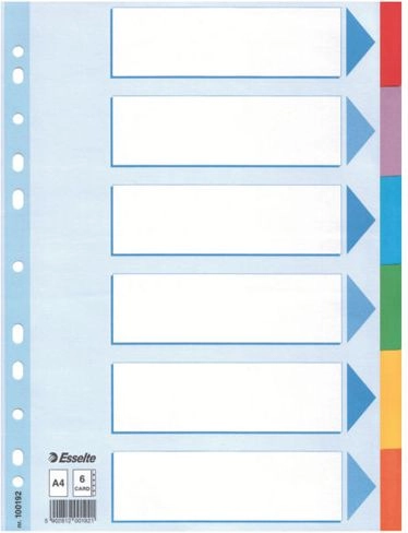 Esselte A4 binder dividers with description