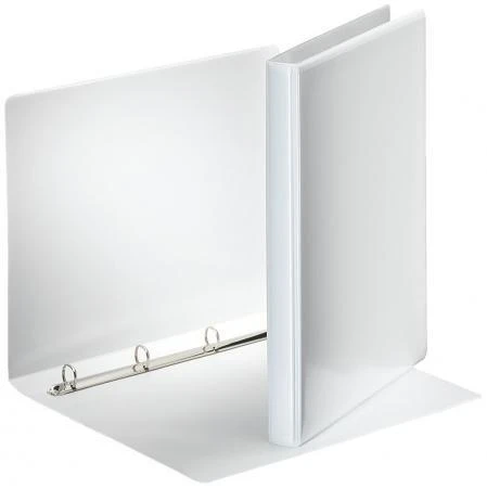 Ring binder with insert in the