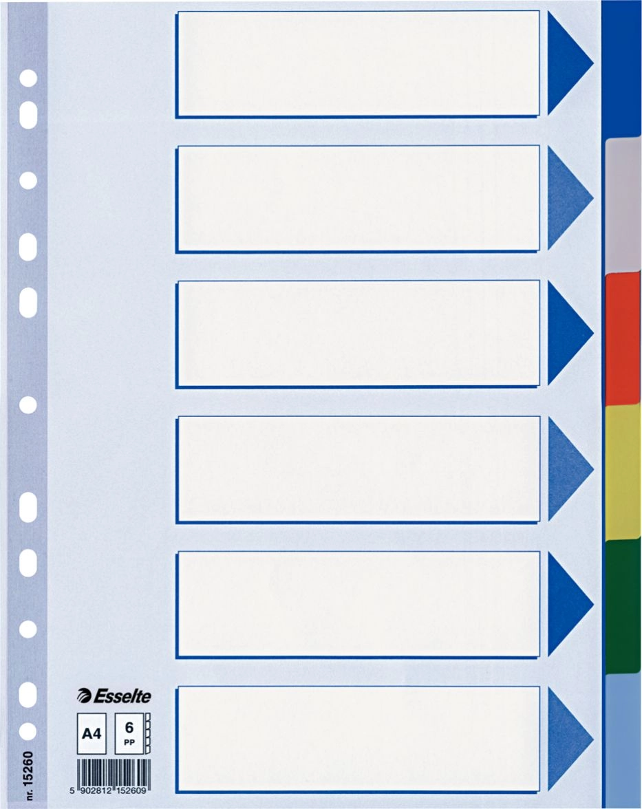 Esselte PLASTIC INSERTS  6 COLORFUL PP