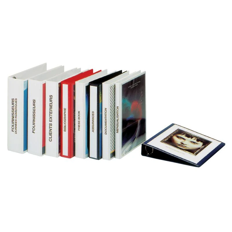 Ring binder with insert in the
