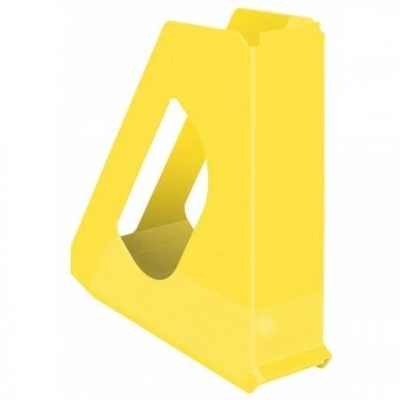 Esselte A4 Europost Vivida document holder