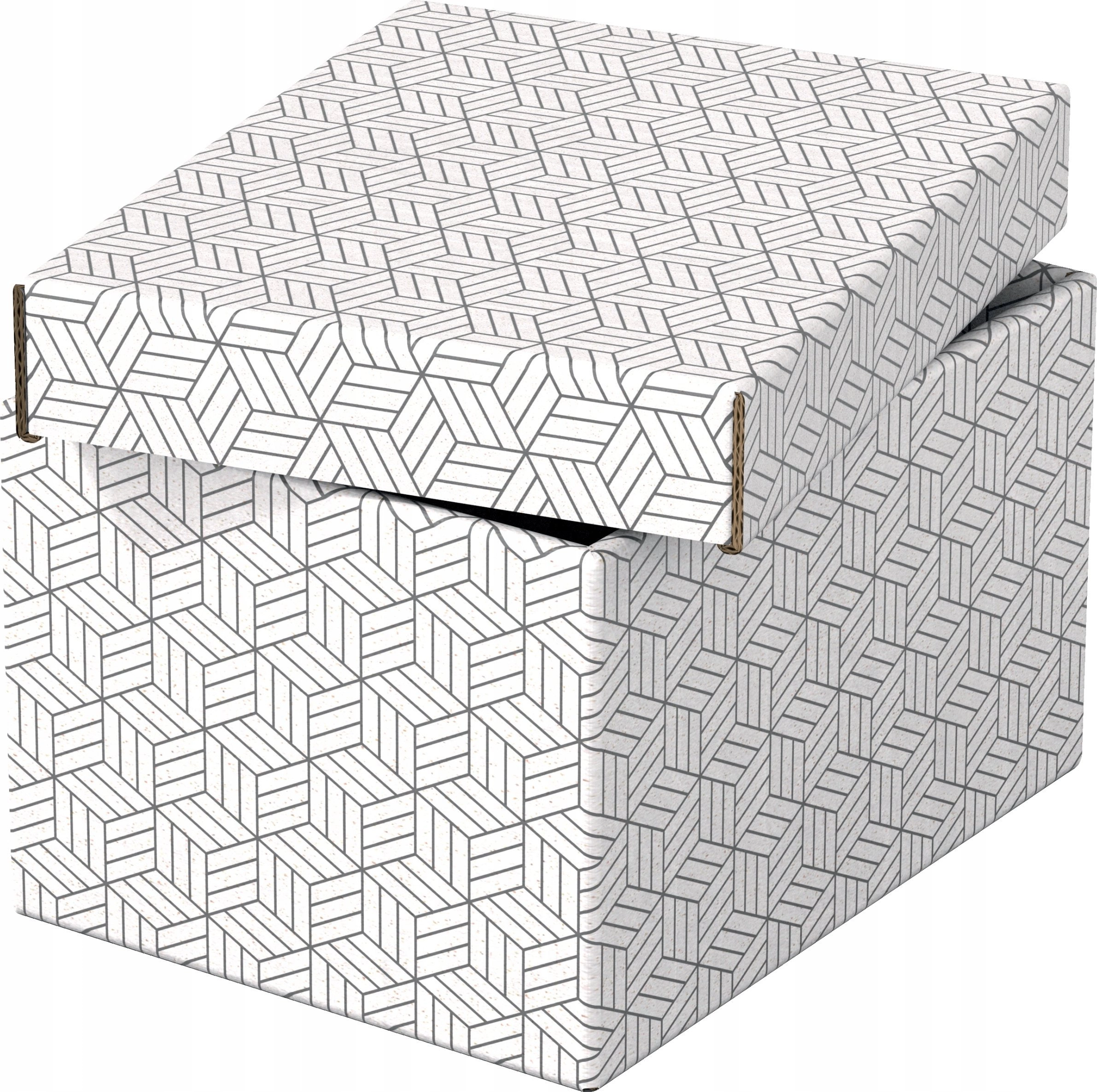 Esselte 628280 Storage box White Rectangular