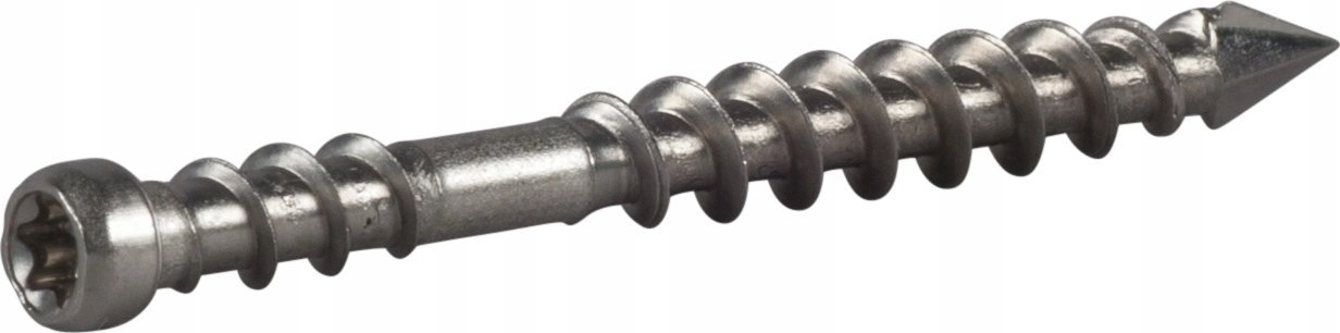 TERRACE SCREW HDS 4.8X60 A2
