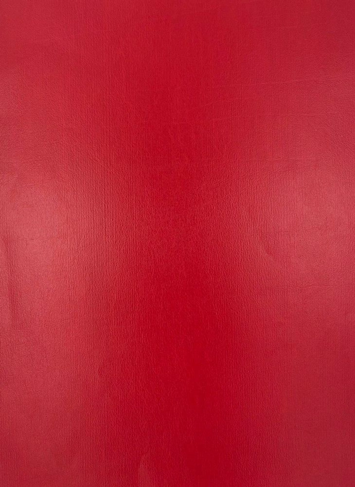 Evelatus Aizsargplēve Evelatus Universal Classic Cowhide