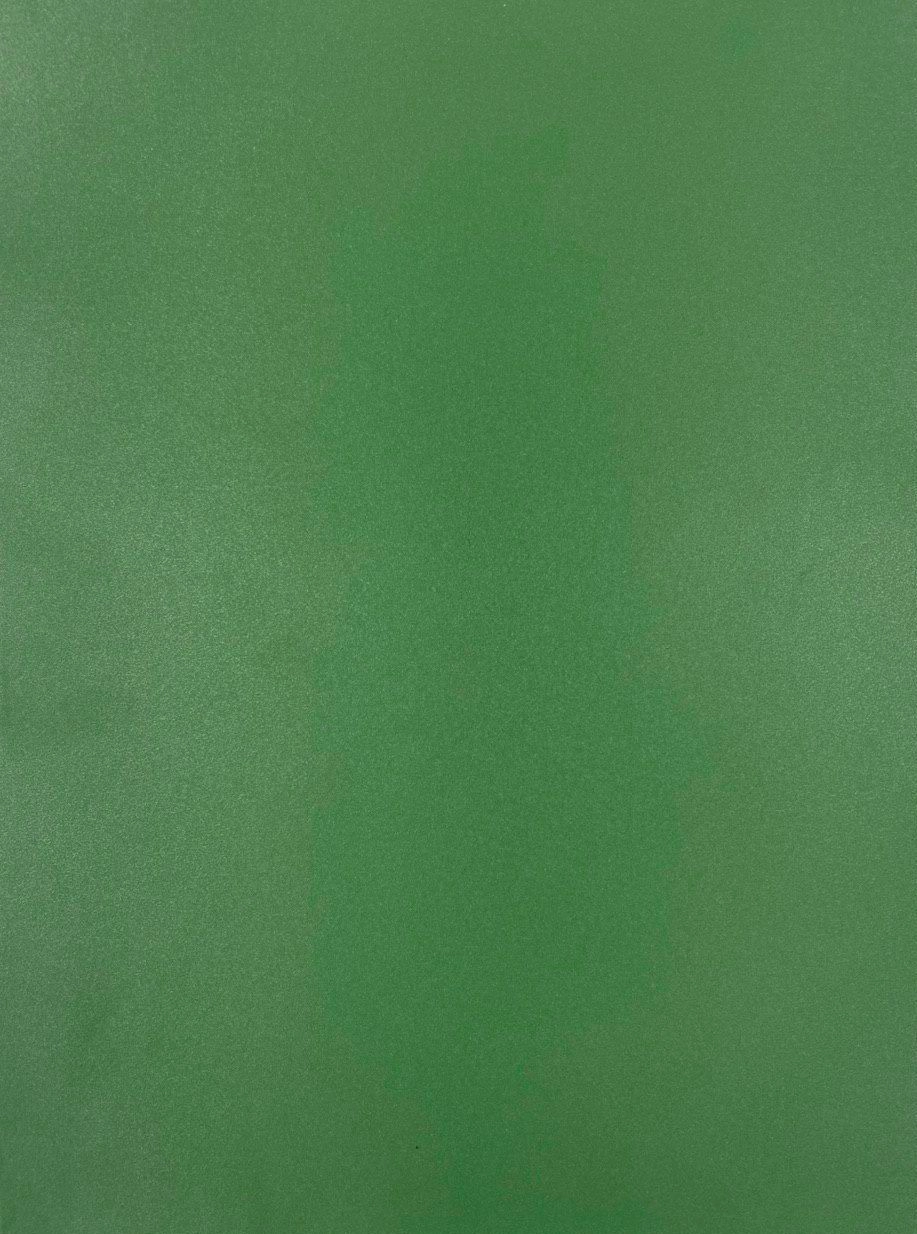 Aizsargplēve Evelatus Universal Universal Color Shinning