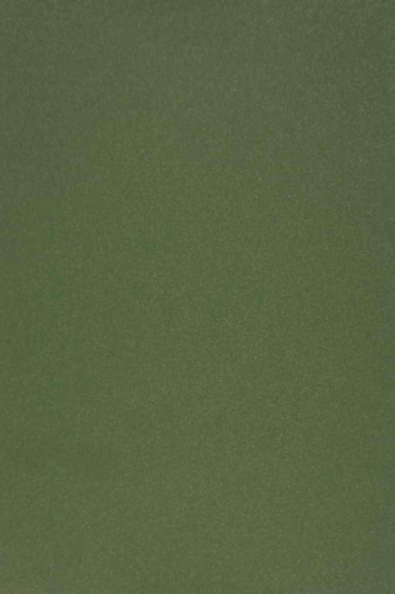 Aizsargplēve Evelatus Universal Universal Color Shinning