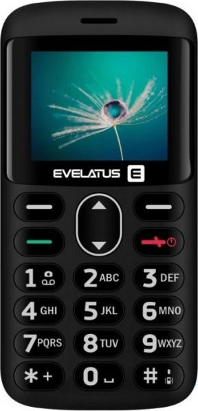 Mobilie telefoni Evelatus ARON 2020 DS