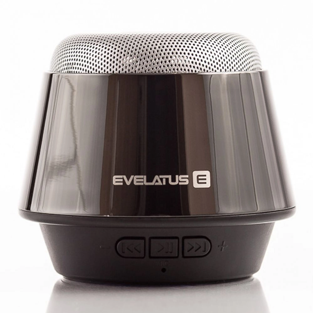Głośnik Evelatus Wireless speaker Evelatus Bluetooth