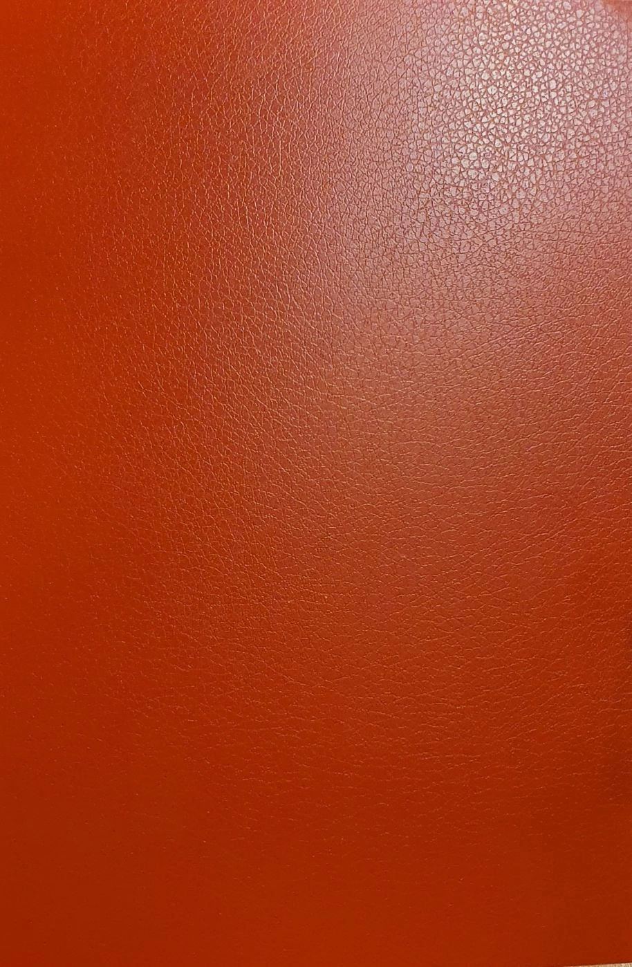 Evelatus Aizsargplēve Evelatus Universal Leather Film