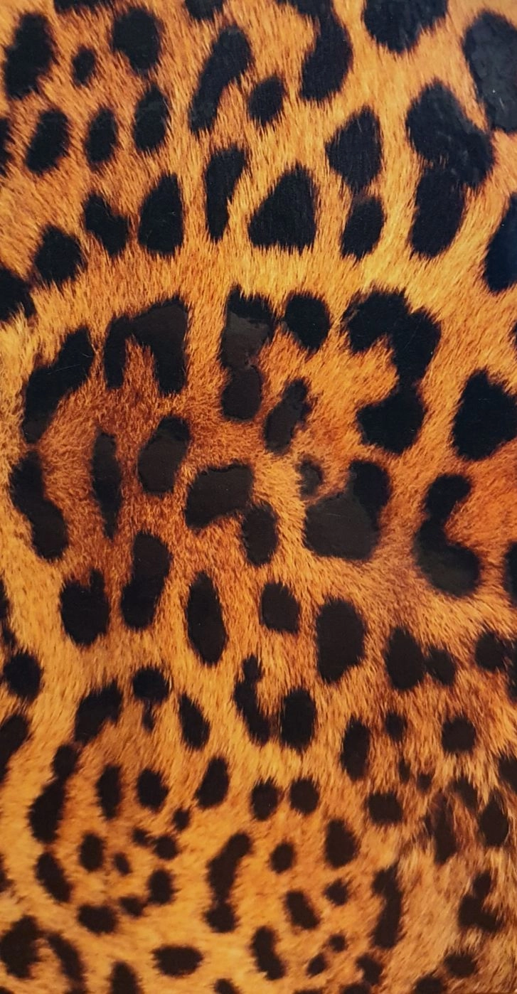 Aizsargplēve Evelatus Universal Leopard Colorful Film