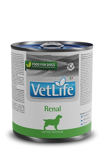 FARMINA Vet Life Canine Renal -
