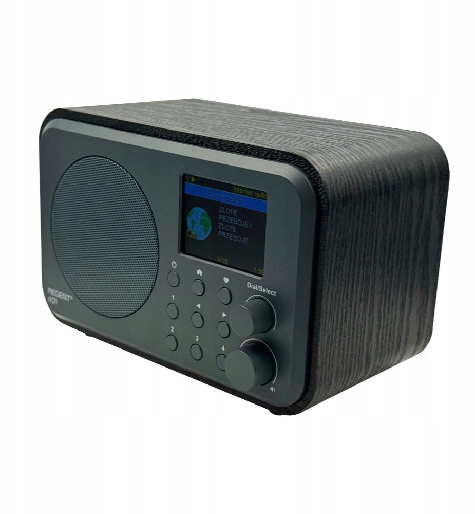 Ferguson Regent i101 black internet radio