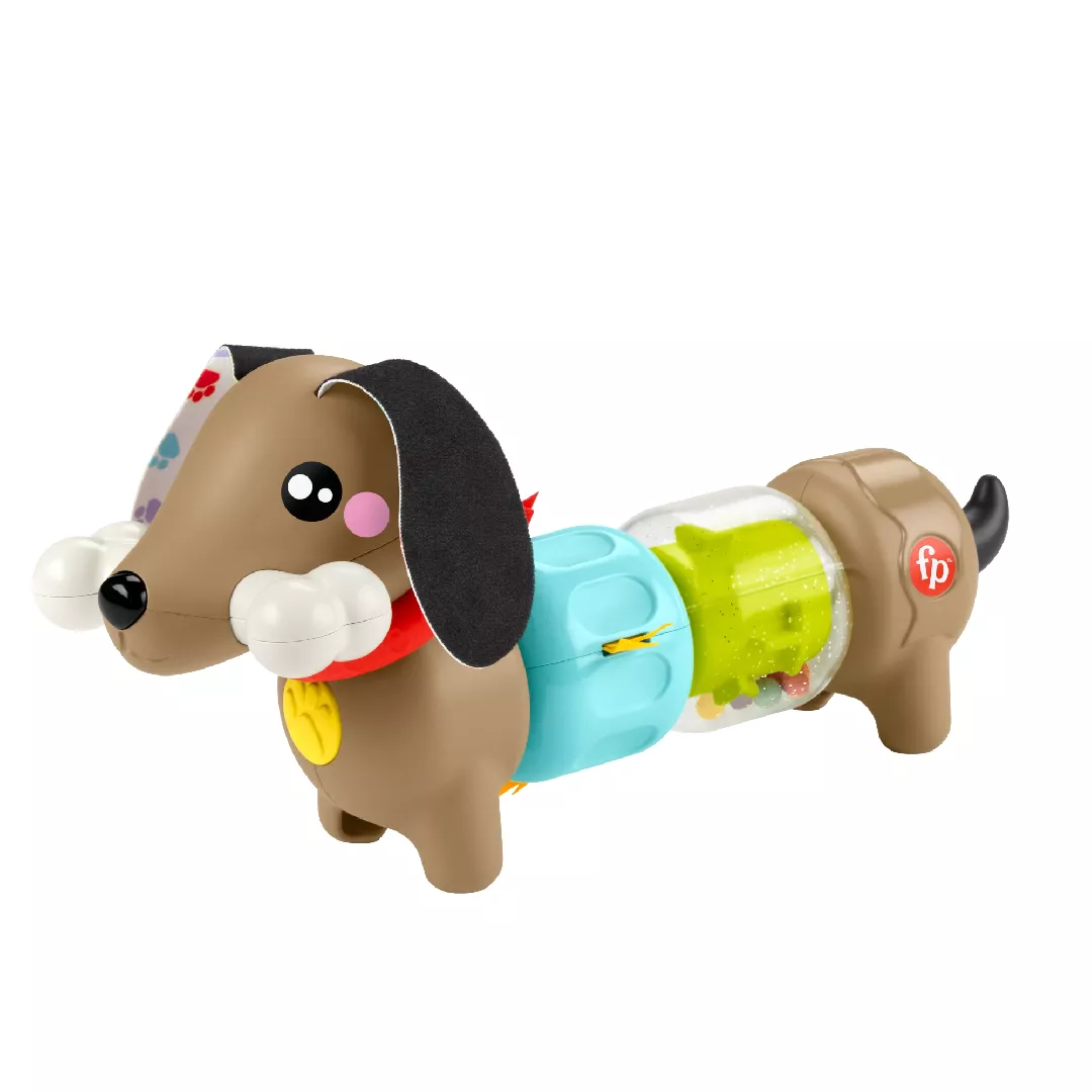 Fisher-Price FP Pets Click  Spin Activity