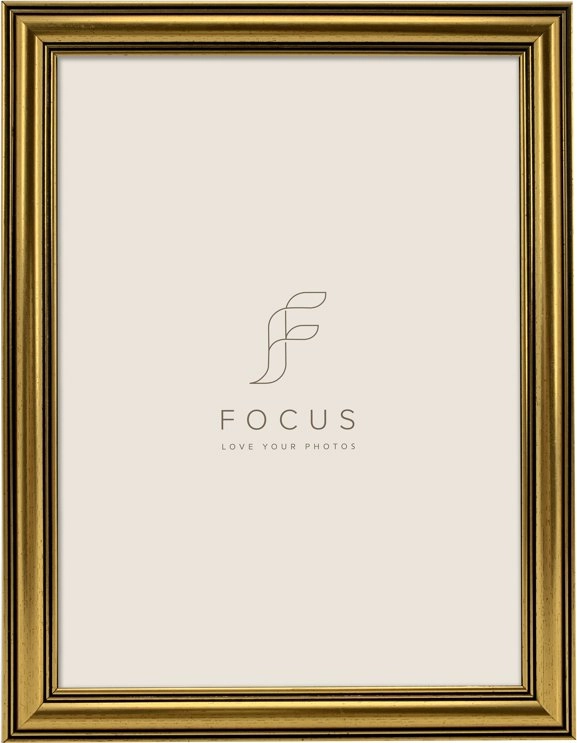Ramka Focus Focus Holly Gold 10x15
