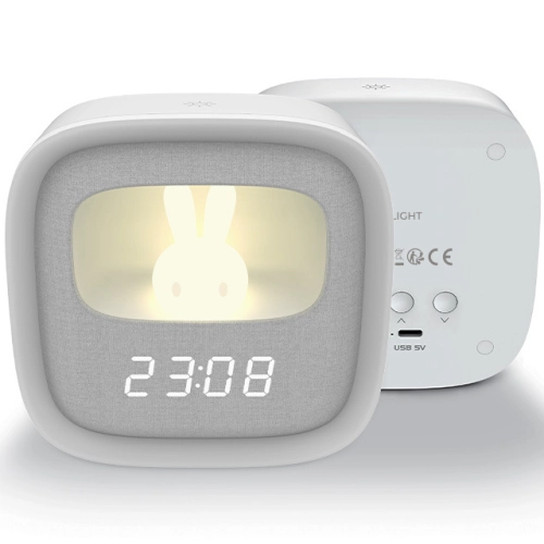 Forever FNL-06 AURORA with LED alarm
